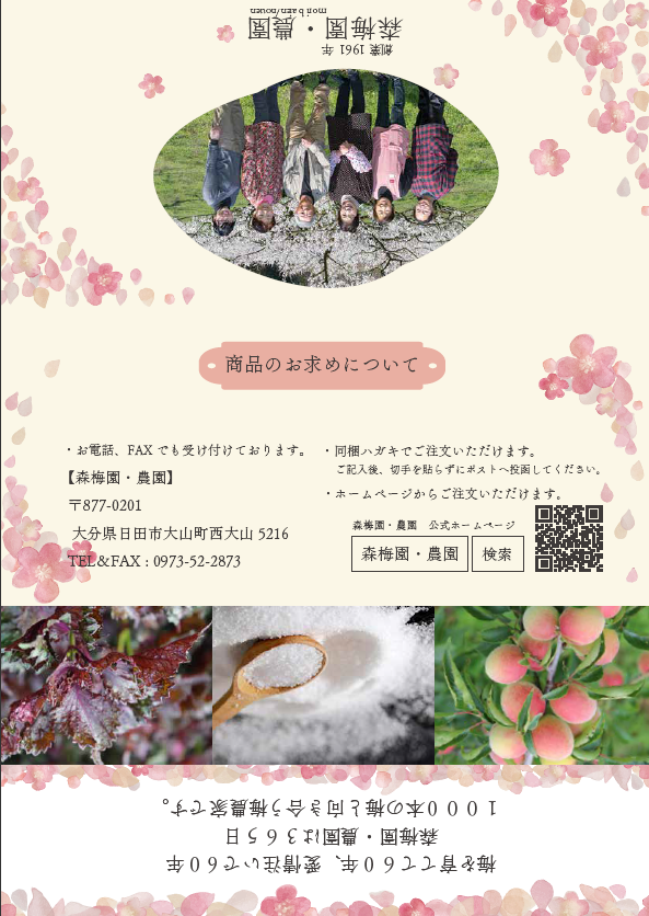 パンフレットデザイン